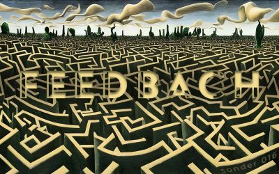 Feedbach